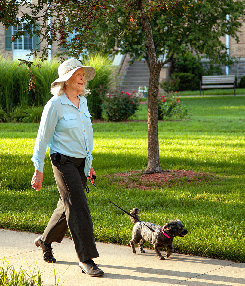 Senior lady walking dog