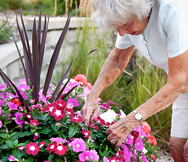 Senior lady gardening