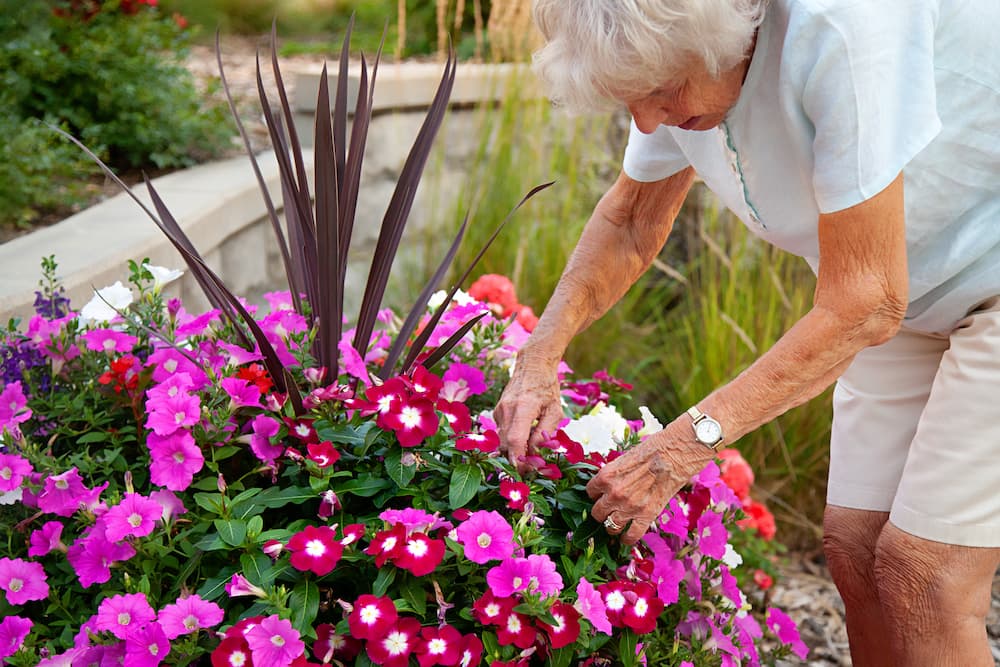 autonomy in senior living